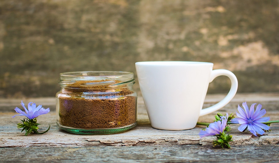Coffee cup with Chicory flowers